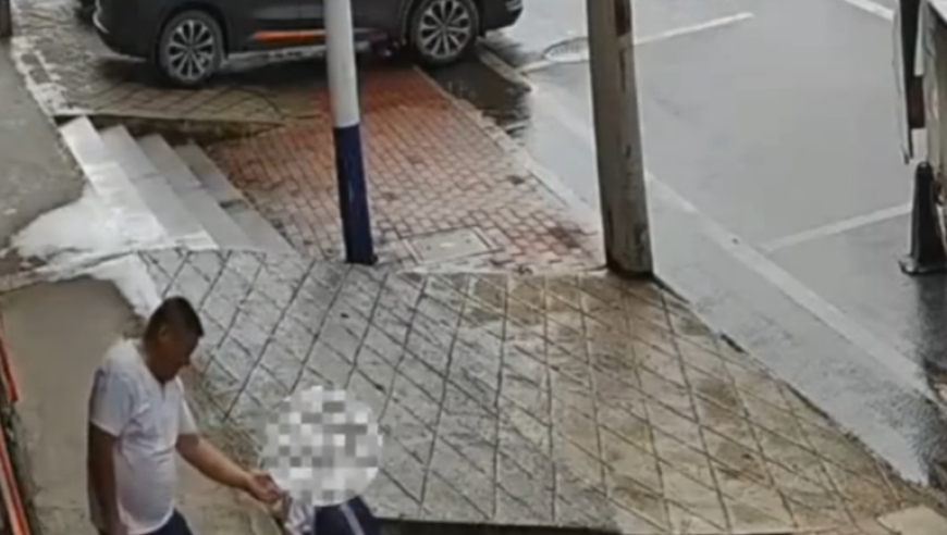 仙台有树杀我别用亲情刀,管家婆精准资料大全免费4295,详细释义解释落实_iosV5.70