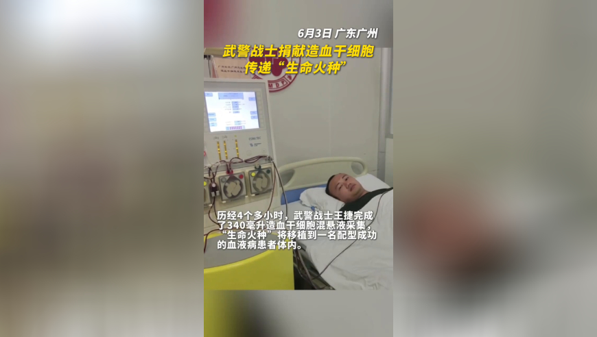 安妮海瑟薇后背上的汉字,2025新奥开奖结果查询,精准解释落实的人生哲理_试用版V3.90