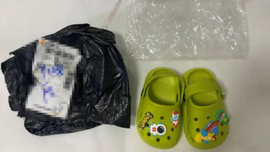 管家婆一肖一码开马资料,小曹动画抽象来财,决策资料解释落实_定制版V10.61