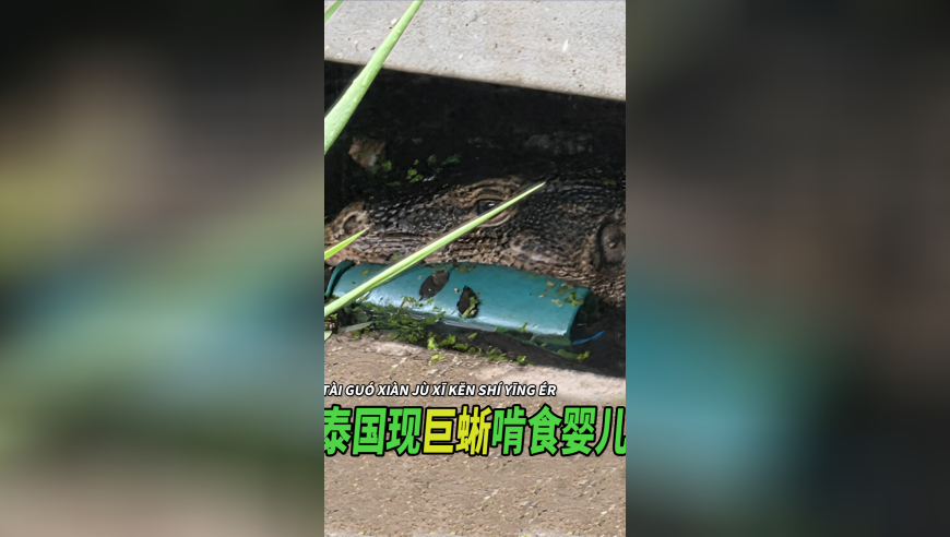 2025今晚香港开特马第38期,2024年著作权登记量增长,广泛的解释落实支持计划_移动版V6.10