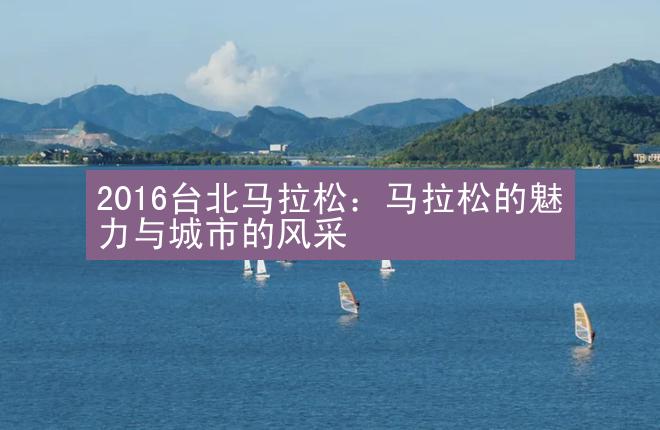 2016台北马拉松：马拉松的魅力与城市的风采